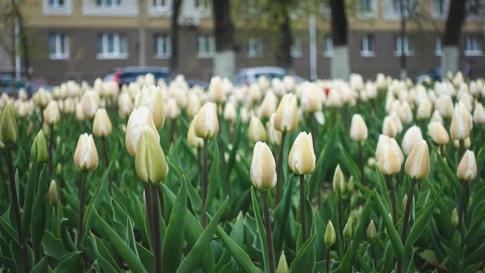 Подготовка к важному природному событию: советы и ритуалы