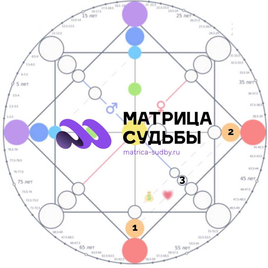 Простые шаги для создания личного числового профиля