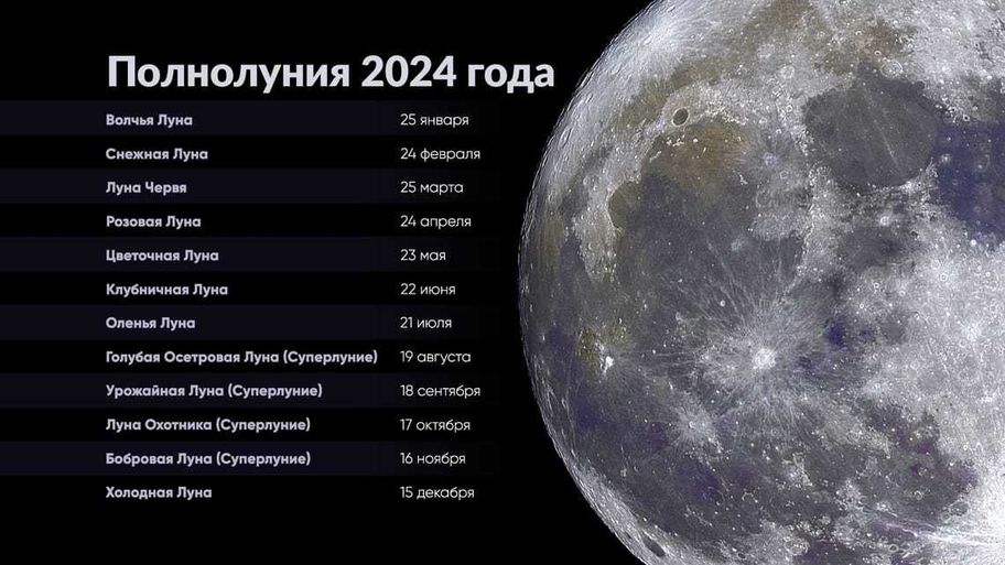 Профессиональные перспективы для представителей астрологических знаков