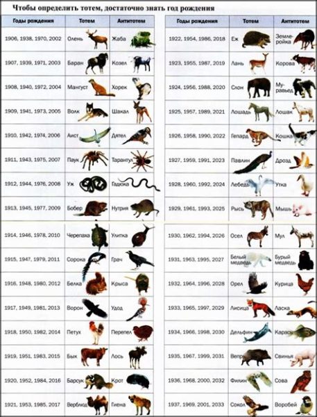 Узнайте свое тотемное животное по знаку зодиака