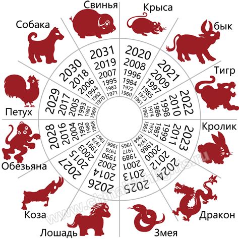 Китайский гороскоп 2025 прогноз для всех знаков